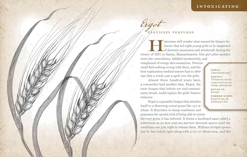 Wicked Plants: The Weed That Killed Lincoln's Mother and Other Botanical Atrocities - Image 3