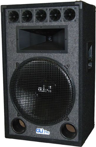18 inch bass speaker 1000 watt