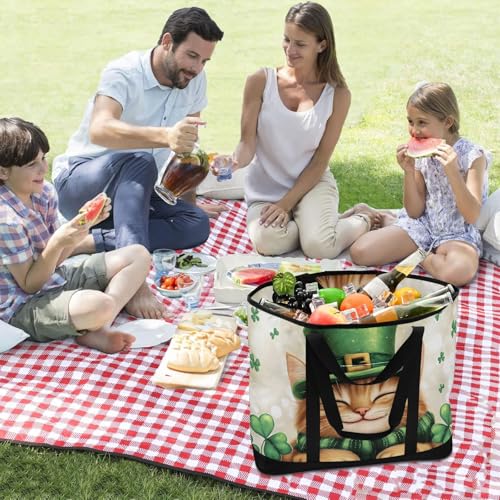 Cat St Large Insulated Tote Bag for Grocery Shopping Reusable Tote Bags for Women Men, Cooler Bag with Zippered Top & Handles for Beach Picnic Travel3