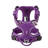  Harnais réfléchissant pour chien en nylon sans tension réglable de taille moyenne et grande - Laisse de sécurité pour la marche, la course à pied - XS - Violet