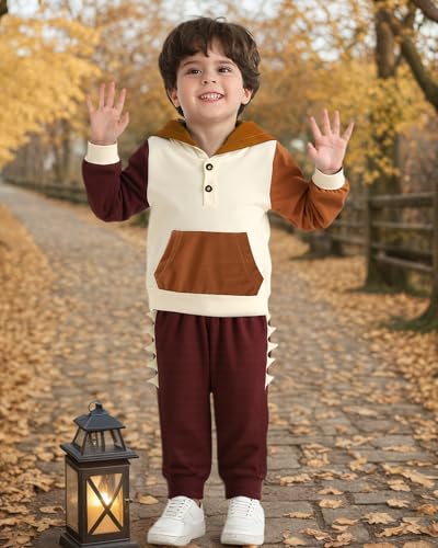 NZRVAWS Toddler Baby Boy Clothes Infant Long Sleeve Hoodie Plaid Top Pant Set 2Pcs Fall Winter 6M-4T Little Kid Outfits2