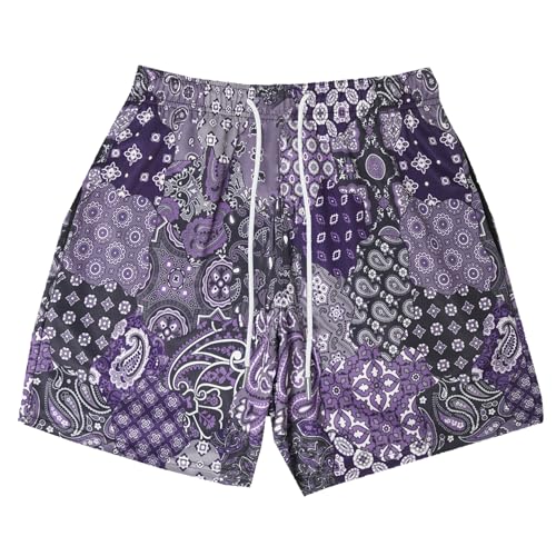 DIOTSR Mens Mesh Paisley Shorts, Casual Retro Graphic Shorts, Athletic Running Gym Shorts for Men