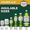 Canada Dry Zero Sugar Ginger Ale Soda, 12 fl oz ca... #3