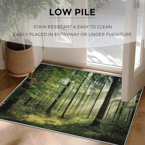 Tapis de salon lavable et antidérapant : la solution pour l'entrée et la table - 7