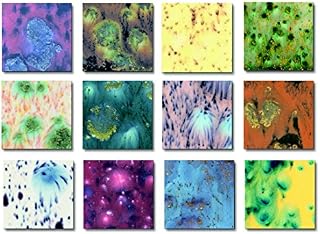 Sax True Flow Crystal Magic Glazes, 4 Ounces Each, Assorted Colors, Set of