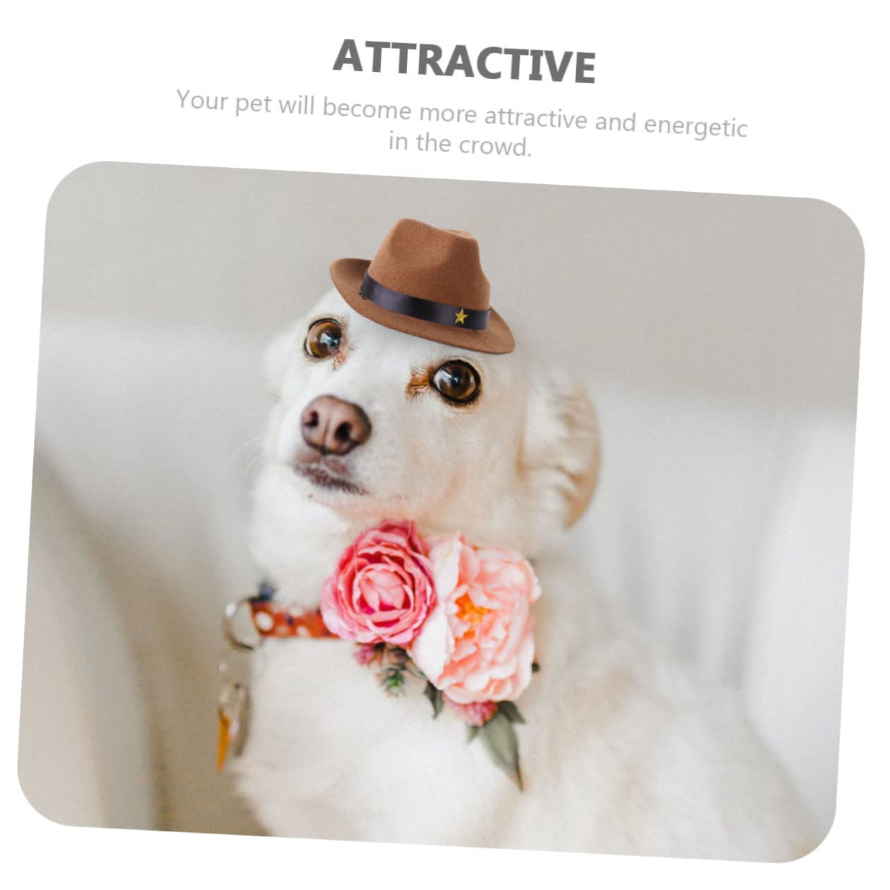 BESPORTBLE Wear Resistant Polyester Dog Hat for Pets Decorative Star Design for Parties Festivals and Photo Shoots Comfortable Accessory for Cats and Dogs