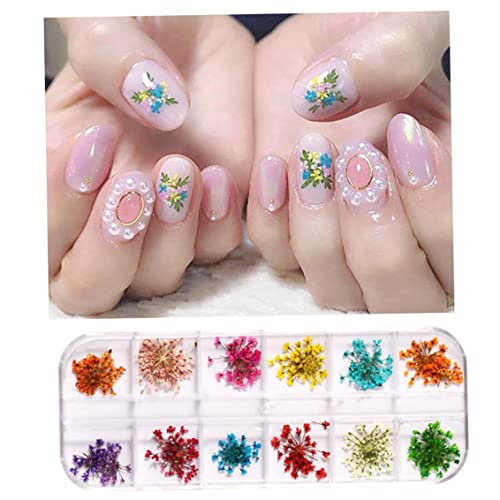 Fiori secchi per unghia arte naturale naturale 12