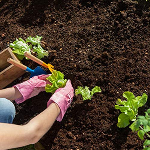 Kenware® Garden Tools kit Set of 3 Trowel Set Hand Digging Tools Set Trowel - Weeder - khurpi (Trowel Set of 3)