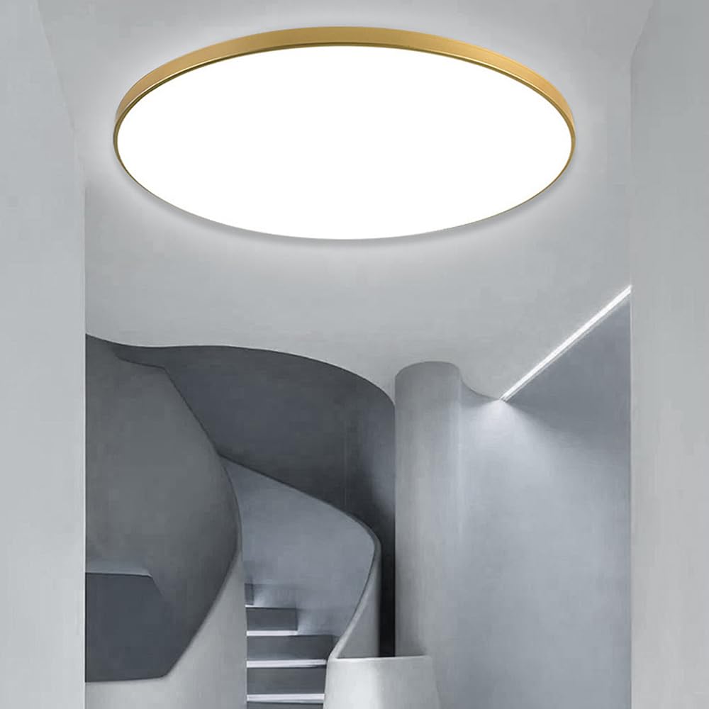 FDOIUTU Lamparas de Techo 56W, Plafon LED Techo 3000K/4500K/6000K,Temperaturas de color ajustables en 3 Modernas luz de techo redonda,para Dormitorio Cocina Salon Comedor Pasillo (oro-56W)