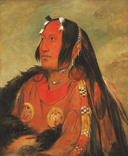 Toile George Catlin Tête d'œuf de pigeon grand format pour grand mur