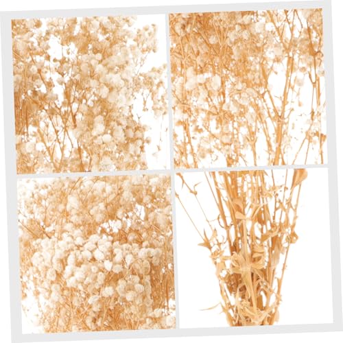 Ramo de flores secas Babysbreath beige natural decorativo miniatura 3