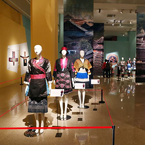 YONSHENG Suportes de Controle de Multidão com Cintos Retráteis Vermelhos de 6,5 Pés - Suportes Preto