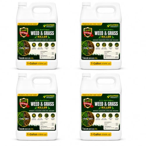 Natural Armor Weed and Grass Killer Concentrate