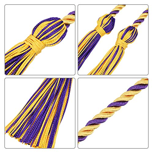 Image of TecUnite Graduation Cords Honor 2026 Polyester Yarn Decorative 67 inch Long Garland Twist Ties with Tassels for Bachelor Gown Graduation
