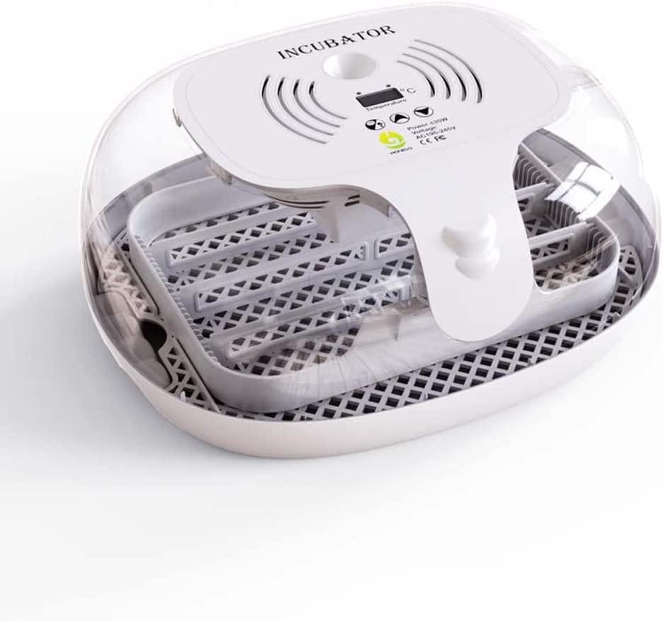 Buy Neo Classic 16 eggs Automatic Mini Egg Incubator, Poultry Hatcher