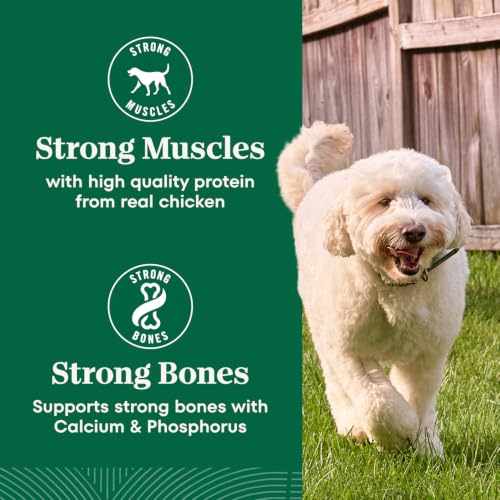 Nutro Natural Choice Adult Dry Dog Food, Chicken & Brown Rice Recipe, 5 lb | Non-GMO, Real chicken #1 ingredient, no corn, wheat, soy or chicken by-product meal, supports skin & coat/digestion/immunity - image 9