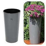 Blumenkübel Rund Hochglanz Slim Blumentopf mit Herausnehmbaren Einsatz (Anthrazit, XL-57cm)