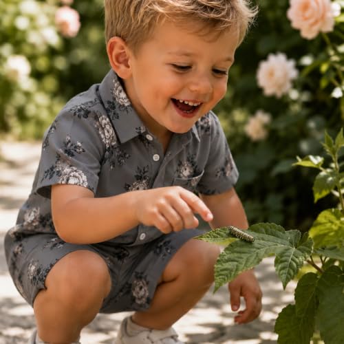 Image of Boys Shirt & Shorts Co-ord Set Kids Regular Wear Clothes Outfit