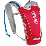 silberring putzen  CAMELBAK Trinkrucksack Dart 50 Oz Octane Crimson, rot/silberr