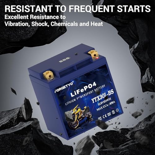 Image of Lithium Motorcycle Battery, Forgetyo YTX30L-BS LiFePO4 Battery, 12V 12AH 850A ATV, UTV, Jet Ski, 4 Wheeler and Lawn Mower Battery