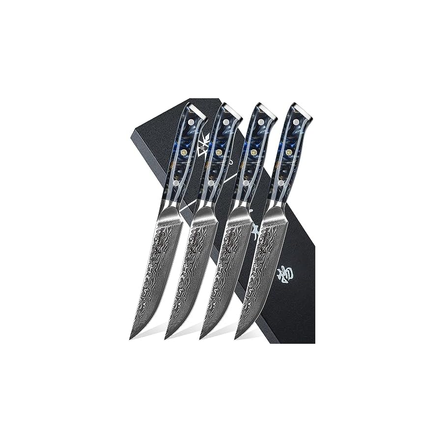 Steak-Knives-Set-of-4-Ultra-Sharp-Non-Serrated-Kitchen-Steak-Knife-5-Inch-Damascus-Steel-Resin-Handle-Xuan-Series-Starry-Black Steak Knives Set of 4, Ultra Sharp Non Serrated Kitchen Steak Knife 5 Inch - Damascus Steel & Resin Handle - Xuan Series (Starry Black)