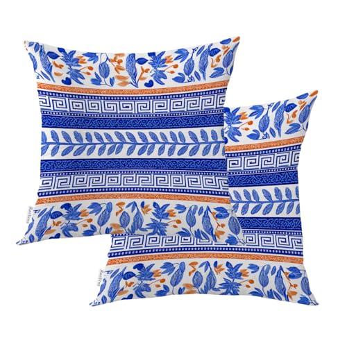 BaoNews Mediterranean Greek Key Olive Branches Outdoor Throw Pillow Covers,