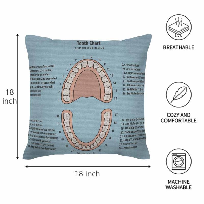 Image of Throw Pillow Covers Pink Education Tooth Chart Number Infographic on Blue Dental Human Anatomy Pillow Case 18x18 Inch Cushion Cover for Home Party