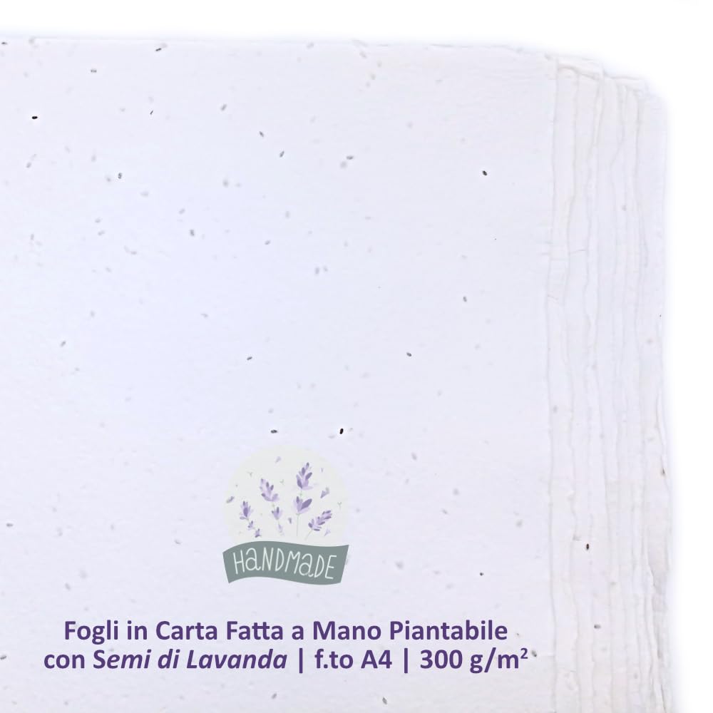 Fogli A4 in Carta Piantabile Fatta a Mano, con Bordi irregolari, 21x29,7cm, 250 g/m2, Confezione da 10, per inviti, biglietti, partecipazioni, Made in Italy (Con Semi di Lavanda)