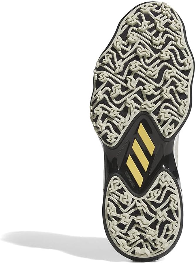 Amazon | [アディダスゴルフ] ゴルフシューズ コードカオス 25 ボア
