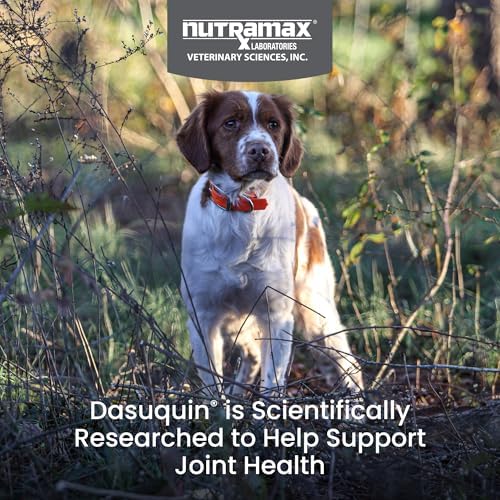 Nutramax Dasuquin for Small to Medium Dogs, Joint Health Supplement, Contains Glucosamine for Dogs, Plus Chondroitin, ASU, MSM and More, Supports Healthy Joints, Soft Chews, 42 Count - 1