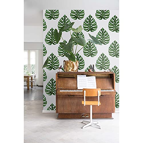 Magic-Stick Monstera 250x250 cm Papier Peint Repositionnable - 2