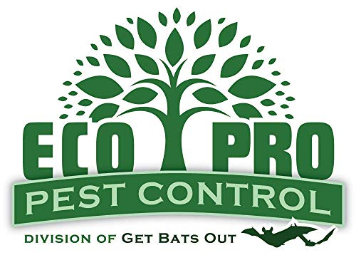 Eco Pro Pest Control 1015 Rat Snap Traps By Eco Pro Pest Control thumb #7