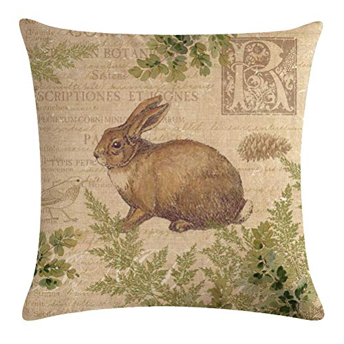 7Colorroom Vintage Wildlife Animalsthrow Pillow Covers Squirrel Bear Elk Rabbit With Green Plants Cushion Cover Home Decor Square Cotton Linen Pillowcase 18" X 18" Set Of 4 (Animals) #TOP2