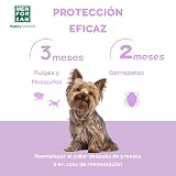 Ver la foto 6