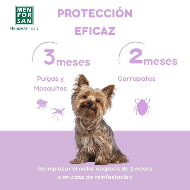 Foto 6 de 8 de MENFORSAN Collar Anti-Insectos para Perros pequeños, con Margosa, Geraniol y Lavandino, 33 centimetros