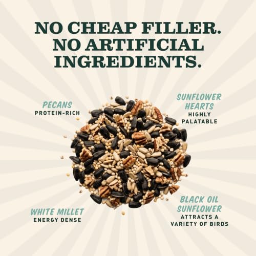 Image of Mr. Bird WildBird Feast Cylinder, 2-Pack, 1 lb 15 oz | Wild Bird Seed for Outside Feeders | Premium Blend of Pecans, Sunflower Hearts & Millet | No Mess, No Melt