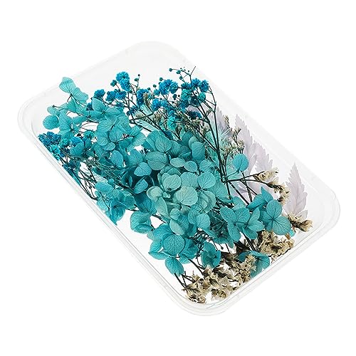 Set de flores secas prensadas para manualidades miniatura 7