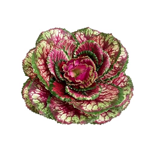 Mellsunny 1 Pc Faux Cabbage Artificial Silk Cabbage Stem Fake Vegetable