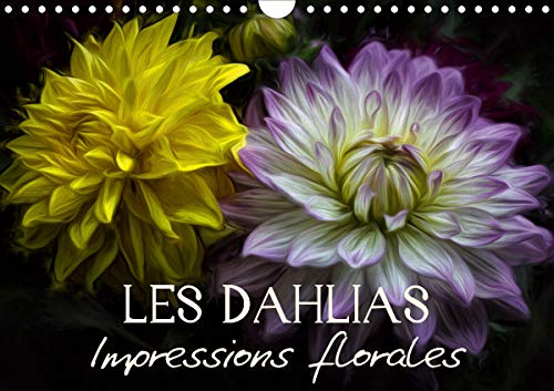 Les Dahlias Impressions florales (Calendrier mural 2021 DIN A4 horizontal): Egayez votre quotidien ! (Calendrier mensuel, 14 Pag