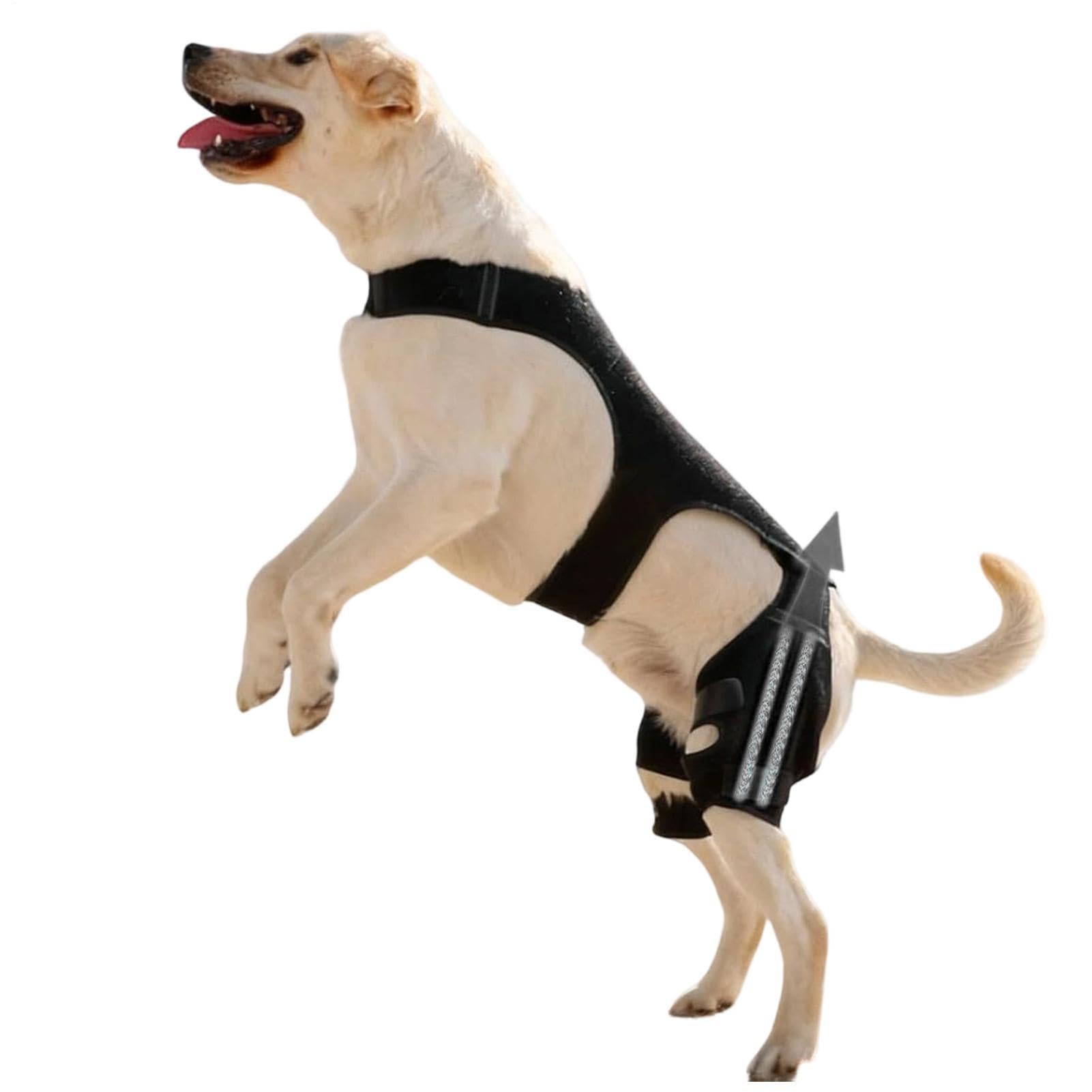Genouillère Pour Chien Bandage Articulaire Réglable | Avec 4 Stabilisateurs Métalliques Support Pour Patte Arrière Pour Randonnée Exercice Activités Extérieures Parc Plage