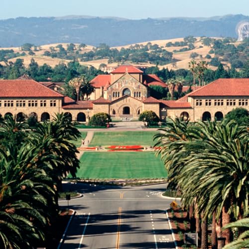 Stanford launches HELM Arabic leaderboard