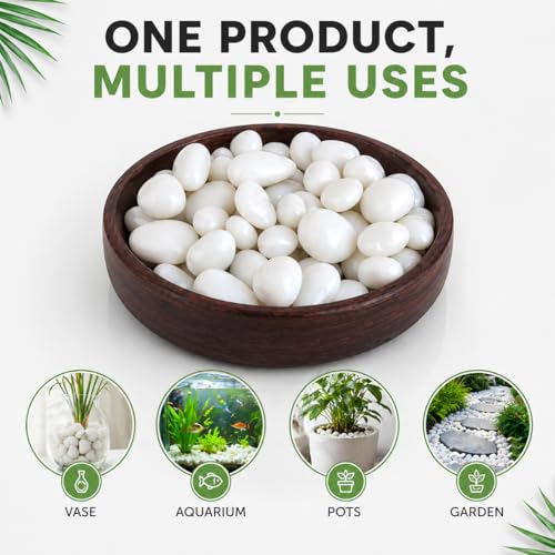 Image of Go Garden Polished White Pebbles Glossy Stones - 2Kg (2.5cm - 4cm) | Premium Decorative Stones for Vase Fillers, Aquarium, Terrarium, Garden, Home Decor & Landscaping