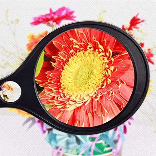 Loupe portable 10x pour la lecture du journal et l'identification de billets - 3