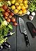 Dalstrong Santoku Knife - 5 inch - Shogun Series Elite - Japanese AUS-10V Super Steel Kitchen Knife - Black G10 Handle - Vegetable Knife - Damascus Layered - Vacuum Heat Treated - Sheath Included