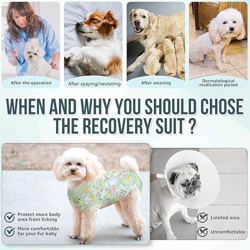 Image of Lukovee Recovery Suit for Dogs, Female Male Spay Neuter Post Surgery Suit
