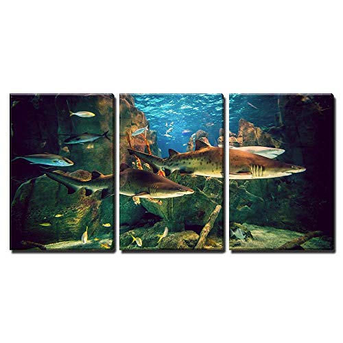 wall26 - 3 Piece Canvas Wall Art - Two White Sharks in