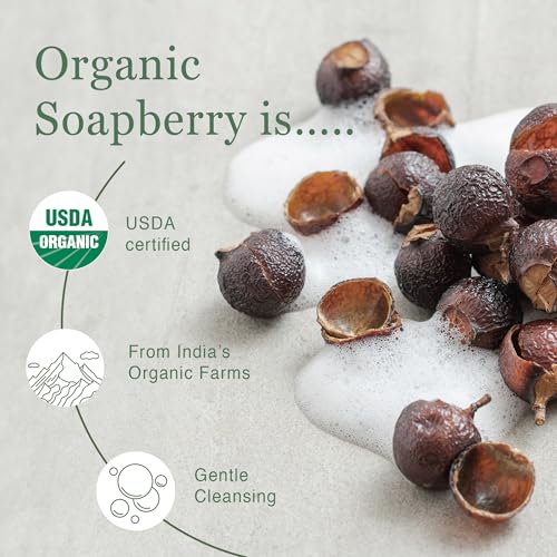 Image of Feminine Care - All-Natural Soapberry Foaming Wash & Mist Sets, pH-Balanced and Hypoallergenic, Fragrance & Paraben-Free, Odor Control, Soothes Itchy, Dry, Sensitive Skin, Pregnancy-Safe
