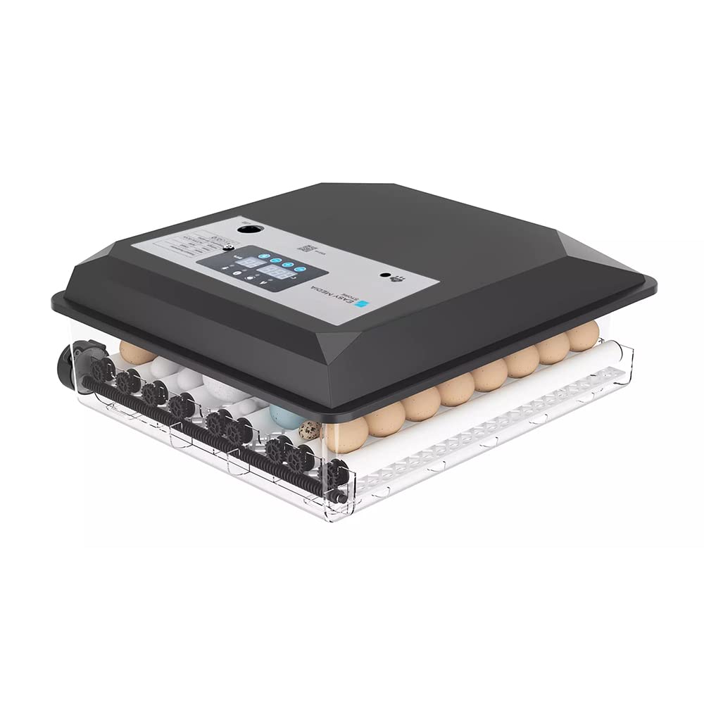 EASY MEDIA incubatrice automatica professionale EM60 per 60 uova di gallina, tacchina, faraona, anatra, oca con girauova automatico a rulli, igrometro