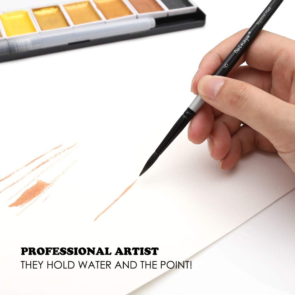 Dainayw Round Watercolor Paint Brushes 4Pcs Squirrel Hair Professional Brush for Artist Painting Watercolors, Acrylics, Inks,Gouache and Tempera, Black Handle