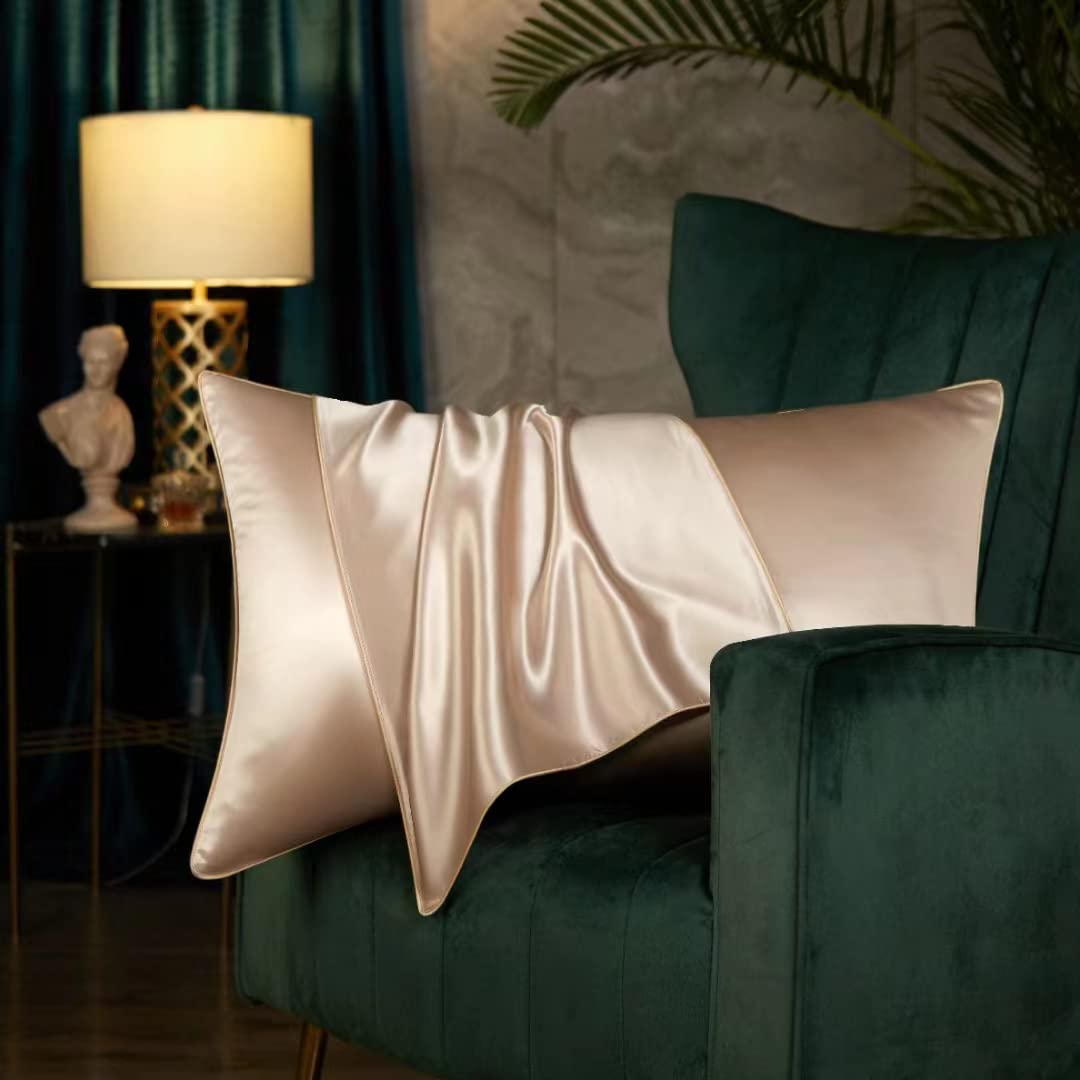 100% Pure Mulberry 19 Momme Silk Pillowcase with Hidden Zipper, Double-Sided, Hair and Skin Care (Champagne, Standard 50x75cm)